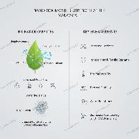 پوشش‌های نانوکامپوزیتی زیستی: آینده‌ی مقاوم‌سازی و مبارزه با خوردگی در صنایع                                                                                