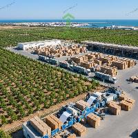 راه‌حل‌های پایدار خودکفایی کاغذ و مقوا: زراعت چوب، بازیافت و فرصت‌های صادراتی ایران                                                                  